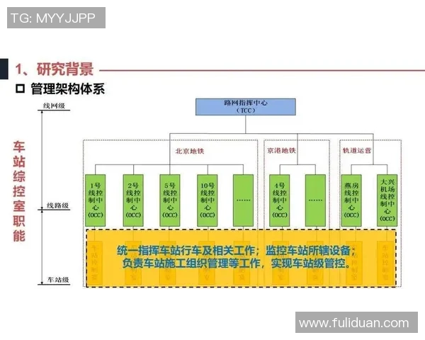 北京乒乓球队团队协作模式深度解析与其他球队的对比研究 北京乒乓球队团队协作模式深度解析与其他球队的对比研究