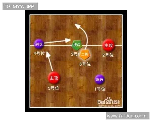 成都排球队排球战术解析及其盯防体系的创新与应用探讨