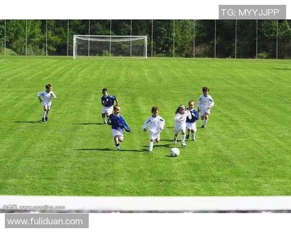 深圳足球队的耐力挑战与成长之路探讨