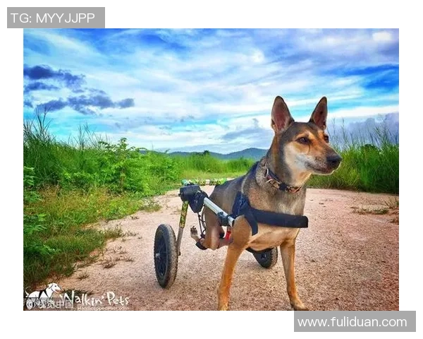深圳极限运动队心理素质夺冠引领行业新风潮 深圳极限运动队心理素质夺冠引领行业新风潮